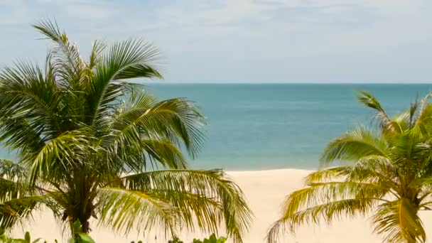 Tropiska paradis exotiska vit sandstrand tvättas av blå lugna havet. Sandiga stranden med gröna kokospalmer under molnig himmel. idylliskt landskap. Holiday koncept, — Stockvideo