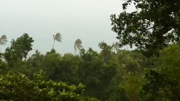 Приморский Пейзаж Время Стихийного Бедствия Урагана Сильный Циклон Ветра Раскачивает — стоковое видео