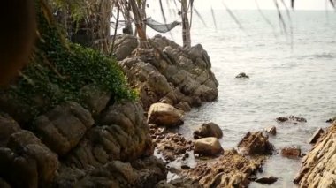 Arka planda tropikal okyanus ile romantik rahat boş hamak, yakın çekim. Cennet, deniz seyahat, egzotik beach resort, pastoral gevşeme tembel zaman kavramı tatil için tatil