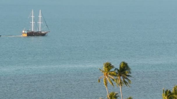 Mar com barco à vela e plantas tropicais exóticas. De cima vista do oceano azul calmo com navio de madeira flutuando na superfície, costa coberta com palmas. Koh Samui Island Tailândia resort. Conceito de viagem — Vídeo de Stock