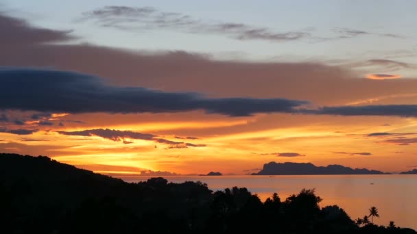 Majestueux Coucher Soleil Orangé Tropical Été Sur Mer Avec Des — Video