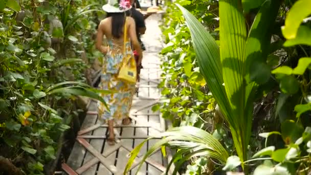 KOH PHANGAN, TAILANDIA - 21 DE AGOSTO DE 2018: Jóvenes entre arbustos tropicales hasta la playa. Vista posterior del hombre y la mujer caminando a lo largo de un puente de madera con plantas exóticas en los lados. Chica en vestido amarillo — Vídeos de Stock