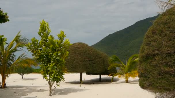 Neobvyklé exotické stromy, zelené kokosové palmy na dokonalé bílého písku tropickém ostrově Koh Phangan. Malibu Beach krajina. Idylické slunečný den, Chaloklum bay. Oblíbeným turistickým cílem. Koncept dovolenou — Stock video