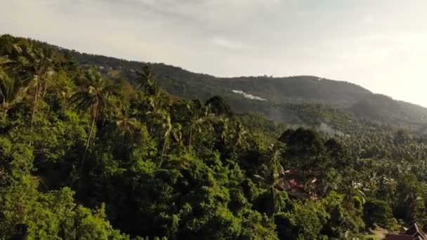 Montañas cubiertas de palmeras bajo el cielo despejado. Paisaje de altas montañas verdes en la isla de Koh Samui cubierto de plantas exóticas tailandesas . — Vídeo de stock