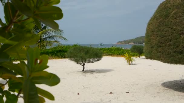 Árvores exóticas incomuns, coqueiros verdes na areia branca perfeita da ilha tropical Koh Phangan. Paisagem da praia de Malibu. Dia ensolarado idílico, baía de Chaloklum. Destino de viagem popular. Conceito de férias — Vídeo de Stock