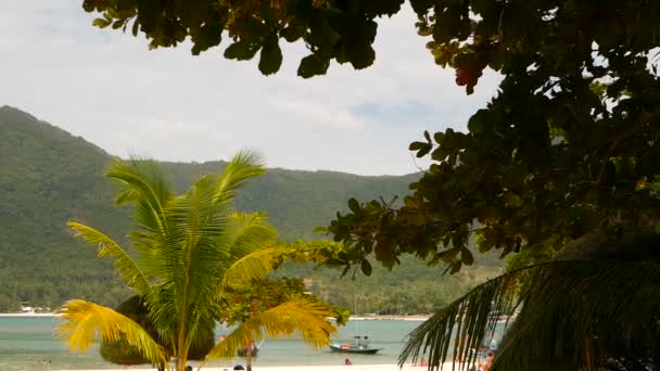 パンガン島の熱帯の島の完璧な白い砂の上珍しいエキゾチックな木々、緑のヤシの木。マリブ ビーチの風景です。牧歌的な晴れた日 Chaloklum 湾。人気の旅行先。休暇の概念 — ストック動画
