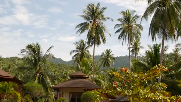 小平房站在椰子树之间。舒适的房子, 周围环绕着热带异国情调的植物, 在田园诗般的背景下, 丘陵和蓝色晴朗的天空。放松, 旅游度假度假度假的概念. — 图库视频影像