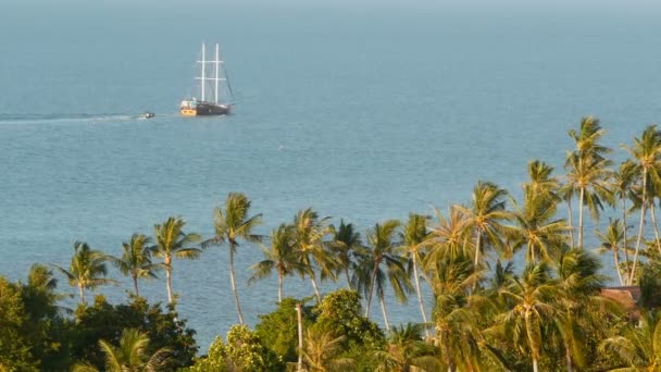 Zee met zeilboot en tropische en exotische planten. Uit de bovenstaande weergave van kalme blauwe oceaan met houten schip drijvend op het oppervlak, kust bedekt met palmen. Thailand Koh Samui eiland resort. Travel concept — Stockvideo