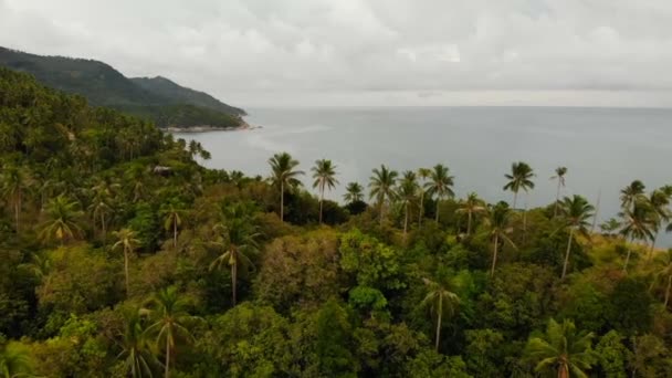 Vista Superior Aérea Drones Del Exótico Paraíso Tropical Acantilado Costero — Vídeo de stock
