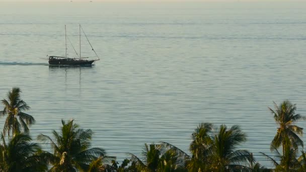 Море с парусной лодкой и тропическими экзотическими растениями. Сверху вид спокойного синего океана с деревянным кораблем, плавающим на поверхности, побережье покрыто пальмами. Курорт острова Самуи Таиланд. Концепция путешествия — стоковое видео