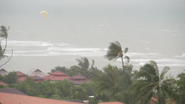 Pabuk tyfon, havets kyst, Thailand. Naturkatastrofe, orkan i øjenvæggen. Stærk ekstrem cyklon vind svajer palmer. Tropiske oversvømmelser regn sæson, kraftig tropisk storm vejr, tordenvejr – Stock-video