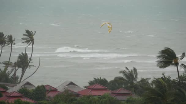 Тайфун Пабук, морской берег океана, Таиланд. Стихийное бедствие, ураган на глазах. Сильный ураганный ветер качает пальмы. Тропические наводнения сезон дождей, сильная тропическая погода, гроза — стоковое видео