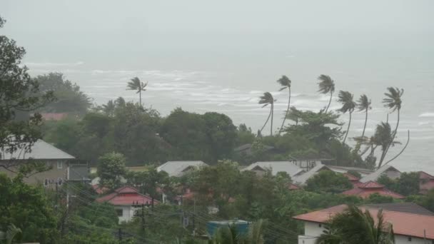 Pabuk тайфун, океан морського берега, Таїланд. Стихійне лихо, eyewall урагану. Сильні екстремальних циклон вітер розгойдується пальмами. Тропічний затоплення сезону дощів, важкі Тропічний шторм погода, грози — стокове відео
