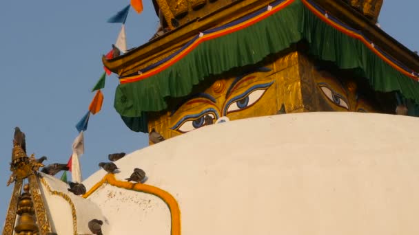 Banderas de oración coloridas ondeando en el viento sobre el templo Stupa, la pagoda santa, símbolo de Nepal y Katmandú con ojos de budas. Atardecer ligth. budismo tibetano. Palomas volando sobre arquitectura antigua — Vídeo de stock