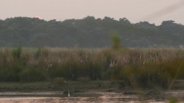 Yaz aylarında günbatımı sakin Nehri üzerinde. Sakin su yeşil kıyı ile yansıtan güneş. Chitwan Milli Safari Parkı Nepal. Terai - Bengal kaplanı, timsahlar, Hint Gergedan, fil için ev.