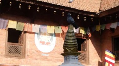 Tapınak binasının çatısında güvercin. Budist tapınağı dua bayrakları dize üzerinde ve güneş ışığı, Nepal, Patan Lalitpur Bhaktapur kiremitli çatıya kuşlar ile dış.