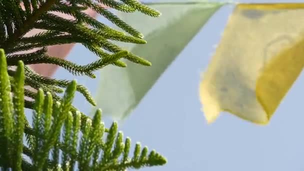 햇빛에 화려한 기도 깃발을 내리고. 햇빛, 네팔에에서 녹색 나무 위에 매달려 기도 플래그와 문자열. — 비디오