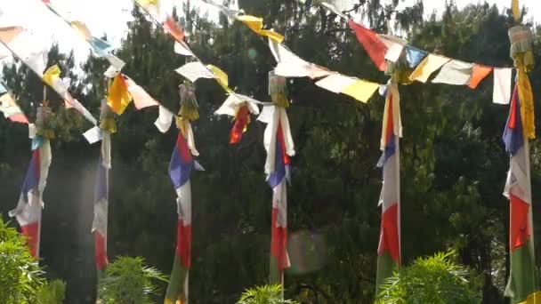Essek színes ima zászlók a napfény. Karakterláncok ima zászlók lógott a feje fölött a zöld fák, napfény, Nepál. — Stock videók