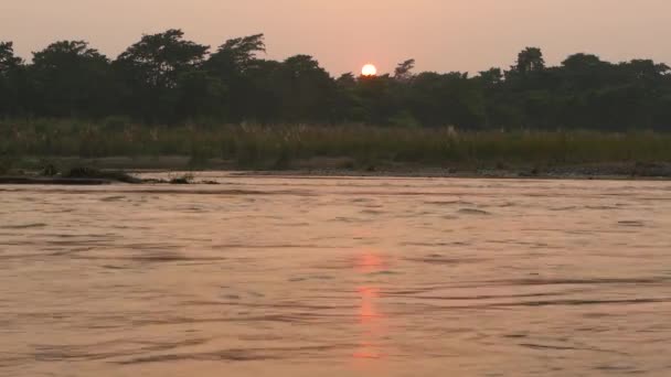 夏の静かな川の夕日。緑の岸辺で穏やかな水に反射する太陽。ネパール チトワン国立サファリパーク。寺井 - ベンガルの虎、ワニ、インドサイ、象のための家. — ストック動画