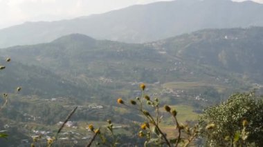 Pirinç terasları kırsal manzara. Panoramik pirinç terasları topraklarda yeşil kırsal Himalaya dağ güneş ışığı altında Nepal. Nagarkot.