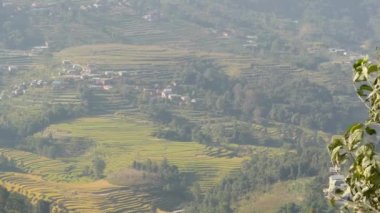 Pirinç terasları kırsal manzara. Panoramik pirinç terasları topraklarda yeşil kırsal Himalaya dağ güneş ışığı altında Nepal. Nagarkot.