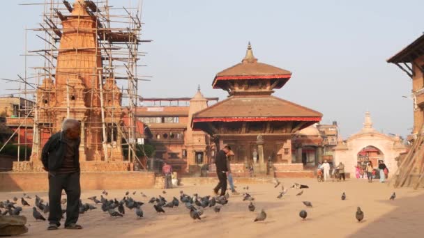 BHAKTAPUR, KATHMANDU, NEPAL - 18 Ekim 2018 Kraliyet Meydanı 'nda güvercinleri besleyen adam. Olgun bir adam antik kentteki Durbar meydanında kuşları besliyor. Günlük hayat, depremden sonra eski doğu şehri.. — Stok video