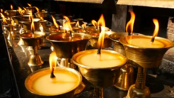 Палаючі свічки в храмі. Вид на золоті блискучі миски з палаючим полум'ям олійних свічок для поклоніння . — стокове відео