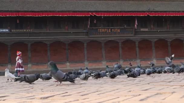 BHAKTAPUR, KATHMANDU, NEPAL - 18 október 2018 Kid chasing birds on city square. A gyerek kikövezett Durbar téren szaladgál és galambokat üldöz. Mindennapi élet, keleti ókori város földrengés után. — Stock videók