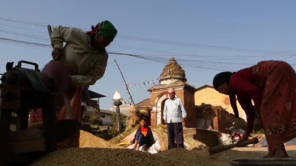 BHAKTAPUR, KATHMANDU, NEPAL - 18 de octubre de 2018 Mujeres asiáticas envejecidas secando, tamizando, trillando granos de manera tradicional. La vida cotidiana, ciudad antigua oriental después del terremoto. La gente sopla y cosecha. — Vídeo de stock