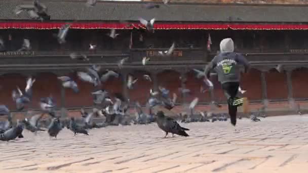 BHAKTAPUR, KATHMANDU, NEPAL - 18 október 2018 Kid chasing birds on city square. A gyerek kikövezett Durbar téren szaladgál és galambokat üldöz. Mindennapi élet, keleti ókori város földrengés után. — Stock videók