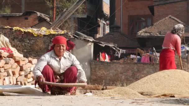 BHAKTAPUR, KATHMANDU, NEPAL - 18. Oktober 2018 Ältere asiatische Frauen trocknen, sieben, dreschen Körner auf traditionelle Weise. Alltag, orientalische antike Stadt nach Erdbeben. Menschen winken und ernten. — Stockvideo