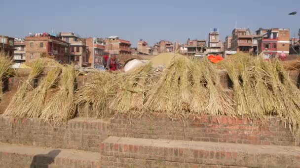 BHAKTAPUR, KATHMANDU, NEPAL - 18 de octubre de 2018 Mujeres asiáticas envejecidas secando, tamizando, trillando granos de manera tradicional. La vida cotidiana, ciudad antigua oriental después del terremoto. La gente sopla y cosecha. — Vídeos de Stock