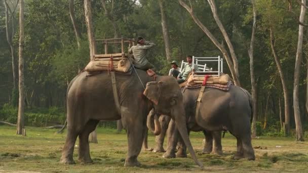 CHITWAN NATIONAL PARK, NEPAL - 10 октября 2018 года Махауты мужчины, азиатские традиционные индийские всадники слонов ждут туристов, сафари треккинг. Сельская местность на закате, жестокое обращение с дикими животными в неволе — стоковое видео