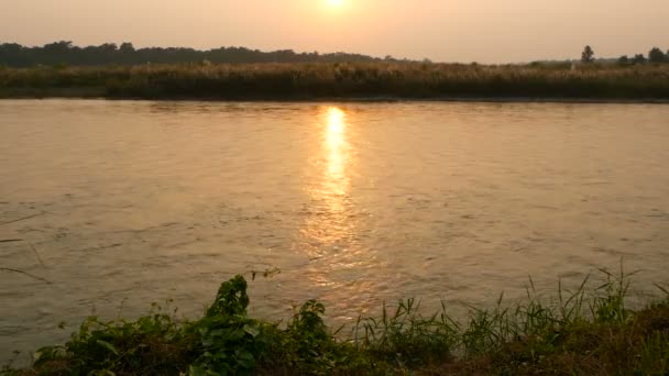 Sonnenuntergang am ruhigen Fluss im Sommer. Sonne reflektiert auf ruhigem Wasser mit grünem Ufer. Chitwan National Safari Park in Nepal. terai - Heimat für Bengaltiger, Krokodile, indisches Nashorn, Elefanten. — Stockvideo