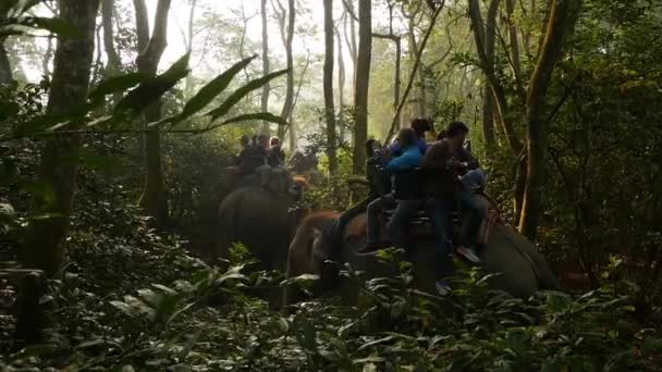 CHITWAN NATIONAL PARK, NEPAL - 10 Οκτώβριος 2018 Οι τουρίστες έχουν πεζοπορία περιοδεία. Ελέφαντες με τους ανθρώπους στην πλάτη περπάτημα στο δάσος κατά τη διάρκεια σαφάρι παρατηρώντας ρινόκερους, το φως του ήλιου στη μαγευτική τροπική ζούγκλα. — Αρχείο Βίντεο