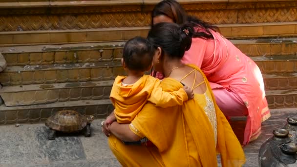 LALITPUR, NEPAL - 7 EKİM 2018 Kadınlar sokakta kaplumbağa besliyor. Bebekli, renkli ulusal giysili kadınlar. Günlük hayat, doğulu eski şehir — Stok video