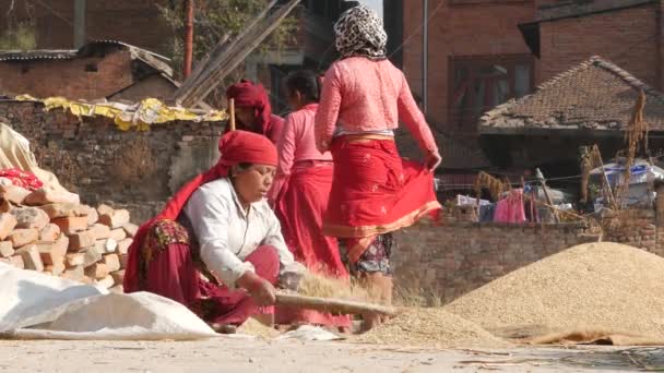 BHAKTAPUR, KATHMANDU, NEPAL - 18 Outubro 2018 Mulheres asiáticas envelhecidas secando, peneirando, debulhando grãos de forma tradicional. Vida diária, cidade antiga oriental após terremoto. Gente winnows e colheita. — Vídeo de Stock