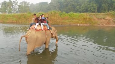 CHITWAN ULUSAL PARK, NEPAL - 10 Ekim 2018 Büyük gri fil turistler özel koltuklarda, nehirde geri yürüyorlar, safari turu. Kırsal kesim, günbatımı, vahşi hayvanlar esaret altında istismar