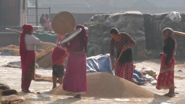 BHAKTAPUR, KATHMANDU, NEPAL - 18 жовтня 2018 Азіатські жінки сушать, просіюють, молотять зерно традиційним способом. Щоденне життя, стародавнє східне місто після землетрусу. Люди виють і збирають врожай. — стокове відео