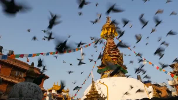 Barevné modlitební vlajky wawing ve větru nad stúpa chrám, Svatý Pagoda, symbol Nepálu a Káthmándú s očima Buddhů. Západ slunce ligth. tibetského buddhismu. Holubi létající nad starověké architektury — Stock video