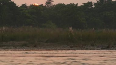 Yaz aylarında günbatımı sakin Nehri üzerinde. Sakin su yeşil kıyı ile yansıtan güneş. Chitwan Milli Safari Parkı Nepal. Terai - Bengal kaplanı, timsahlar, Hint Gergedan, fil için ev.