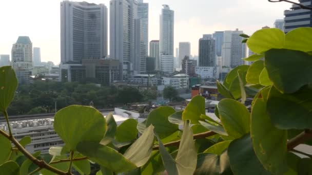 Groene bladeren tegen metropolitane stad. Close-up groene bladeren van park boom tegen wolkenkrabbers op zonnige dag in Bangkok, Thailand. — Stockvideo