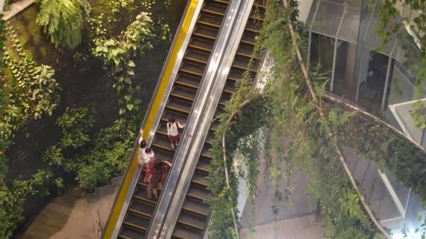 BANGKOK, THAILANDIA - 18 DICEMBRE 2018 Il lussuoso centro commerciale Emquartier. Progettazione di centro commerciale, concetto ecologico verde. giardino pensile futuristica architettura eco. Città moderna. Scala mobile — Video Stock