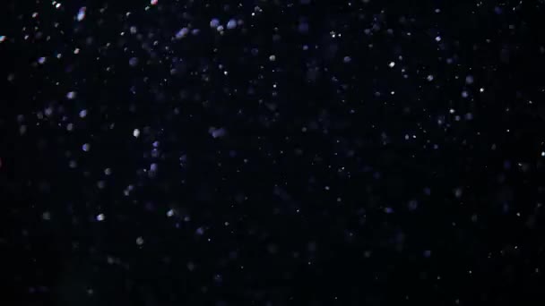 Abstracte snelle kristallen macro Bubbels van bewegende en drijvende lucht geïsoleerd op zwarte achtergrond in aquarim onder water. Sluit en kopieer de ruimte. Als een winter. — Stockvideo