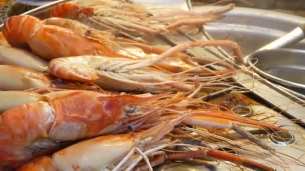 Nacional asiático Exótico pronto para comer frutos do mar no mercado de rua noite praça de alimentação na Tailândia. Deliciosos camarões grelhados ou camarões e outros lanches. — Vídeo de Stock