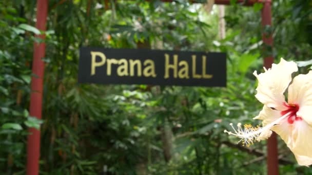 熱帯植物の近くに書いてサインしてください。庭の緑のエキゾチックな植物の近くにぶら下がっているプラーナ・ホールの書き込みとヨガと瞑想のための施設のサイン. — ストック動画