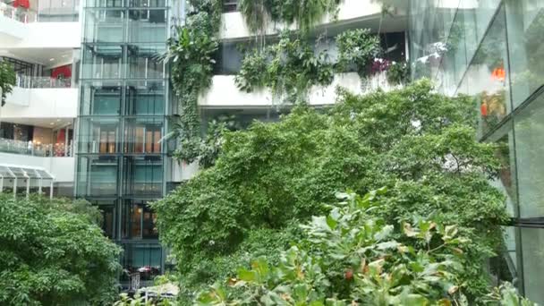 BANGKOK, THAILAND - 18 DECEMBER, 2018 The Emquartier - luxury shopping center. Design of mall in green environmentally friendly concept. Open air hanging garden on terraces and waterfall. — Stock Video