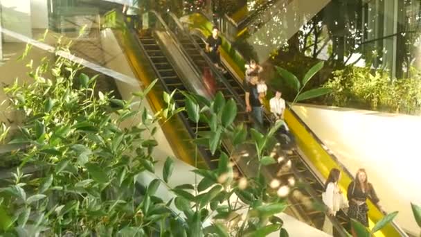 BANGKOK, TAILANDIA - 18 DICIEMBRE, 2018 El centro comercial de lujo Emquartier. Diseño de centro comercial, concepto ecológico. jardín colgante arquitectura ecológica futurista. Ciudad moderna. Escalera mecánica — Vídeo de stock