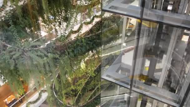 バンコク, タイ王国 - 2018 年 12 月 18 日、Emquartier 高級ショッピング センターです。モール、緑にやさしいコンセプトのデザイン。庭の未来のエコ建築をぶら下がっています。近代的な都市。エスカレーター — ストック動画