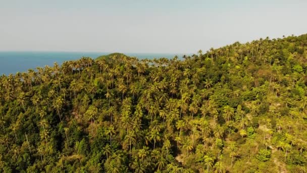 Vista aérea del dron pequeña isla de Koh Ma, Ko Phangan Tailandia. Paisaje panorámico de costa exótica, playa de Mae Haad, día de verano. Camino de arena entre corales. Paisaje marino vivo, palmeras de coco de montaña desde arriba. — Vídeo de stock